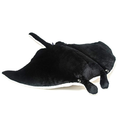Manta